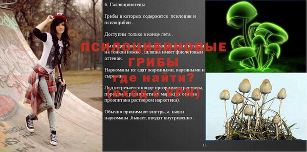 мяу мяу мука Нягань