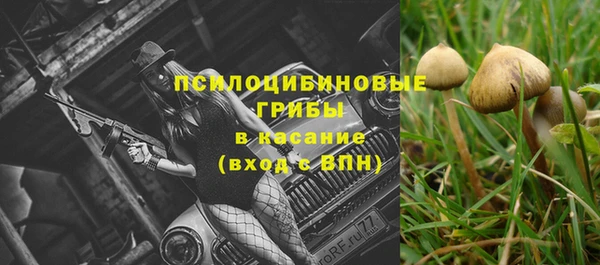 мяу мяу мука Нягань